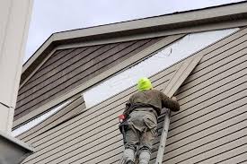 Best Storm Damage Siding Repair  in Sloan, IA